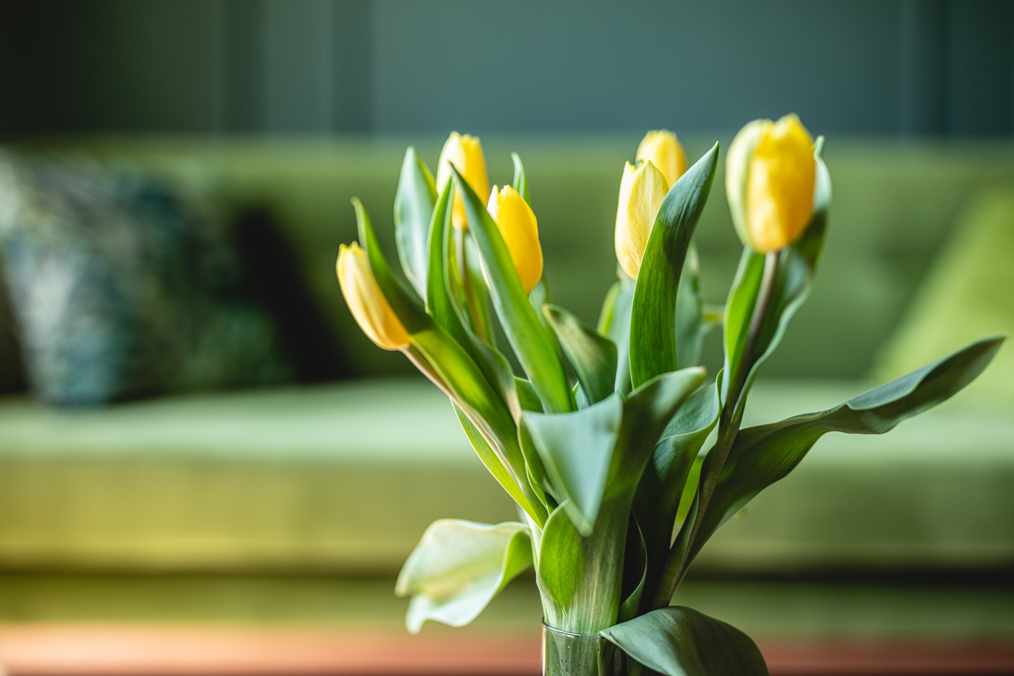 Tulip flowers in elegant apartment. Home staging