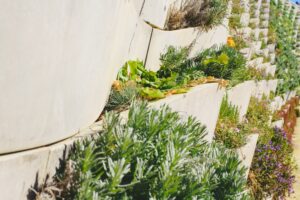 Detail of flower pots from a vertical garden on a concrete wall.